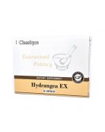 SANTEGRA Hydrangea EX kapsulas, N30