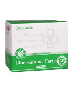 SANTEGRA Glucosamine Forte kapsulas, N60